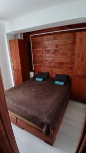 Bakuriani Mgzavrebi 5