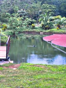 Villa Libu, Private Pond & Pool, 20min Fortuna