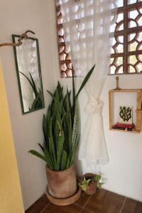 Oceanfront, AC and Parking, La Punta