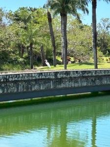 Elegant Golf Retreat with Jacuzzi Terrace - 3BR Apartment in Guavaberry Golf and Country Club - Gated Resort