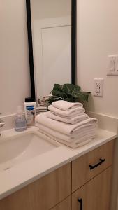 Modern Suite Near Hamilton Airport