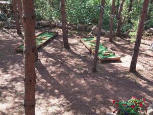 Armas majake keset Muhumaa loodust Kämping nr 6