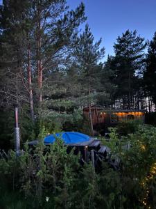 Armas majake keset Muhumaa loodust Kämping nr 6