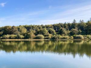 6 person holiday home in Toftlund