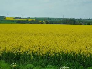 Historic Charm in Marstal-By Traum