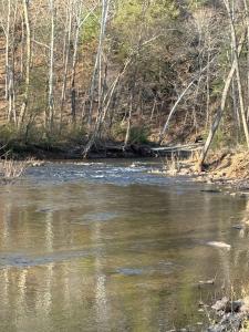 Mariposa Private Creek Retreat - New Hot Tub!