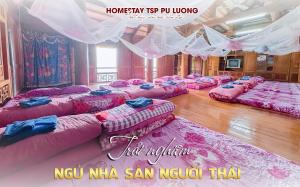 Homestay TSP Nhà Sàn