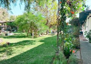 Alma Haven - Private Apartment with Free Parking