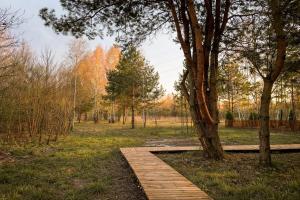 W Cenie Na Wyłączność Prywatna Sauna i Jacuzzi Rowery Grill Stan Spokoju Tu i Teraz Wdech i Wydech