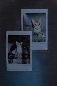 ROOM ONLY WOMEN n LGBTQ COMMUNITY