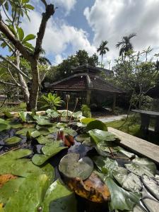 Pine Garden Homestay - Nhà trong vườn