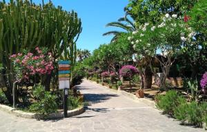 Amazing Home In Piraino