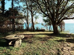 Historic Holiday Idyll Close To The Water