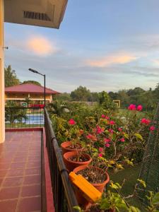 Villa Lourdes Resort