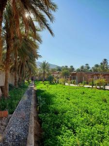 Riad IZRAREN - FIGUIG
