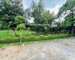 Aaliya Farm House