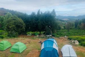 Outside Space Resorts