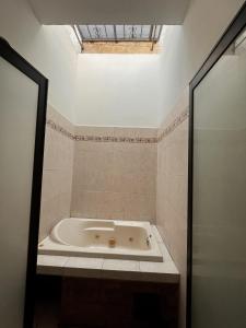 Diseño de autor con luz natural