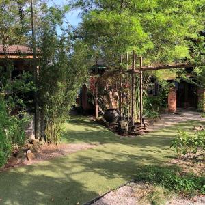 Ted Guesthouse