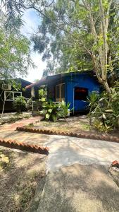 Ted Guesthouse