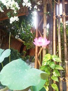 Bamboo Garden Inn