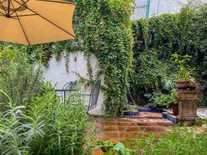 Beautiful and spacious Colonial Home, Mexico City