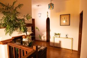 Beautiful and spacious Colonial Home, Mexico City