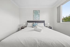 4BR House close to Sunnybank, QEII hospital,Griffith Nathan,Nissan Arena