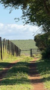 Umkhaya lodge