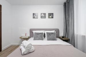 Lumina cozy 3-room apart near the city center