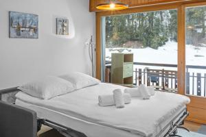 Appartement cosy à 1 minute à pied des pistes de ski