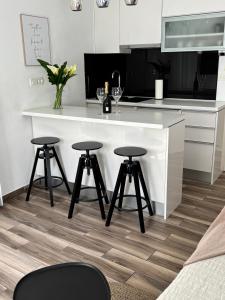 Studio Apartman Fictilis