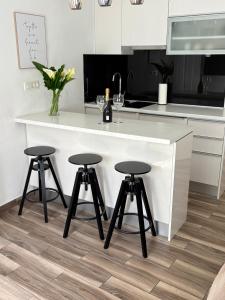 Studio Apartman Fictilis