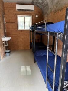Auro Waves Rooms & Hostel