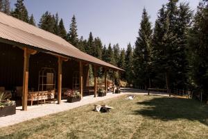 Scenic Glamping Stay with Quiet Privacy and Restful Views in Sandpoint, Idaho