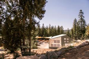 Scenic Glamping Stay with Quiet Privacy and Restful Views in Sandpoint, Idaho
