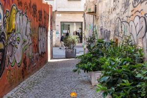 Mamma Mia Stay img72