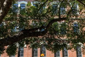 Mamma Mia Stay img77