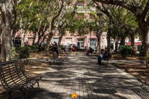 Mamma Mia Stay img78