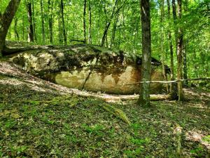 Secluded Woodland Geodome with Panoramic Views & Private Trails in Milledgeville, Georgia