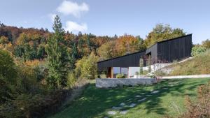 Villa with a pool near a forest, just 20 minutes from downtown Ljubljana