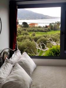Cozy House with Amazing View and Unique Outdoor!
