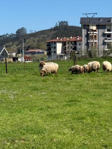 APARTAMENTO con Jardín en Bádames