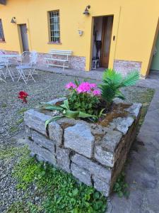 Il Giarolo