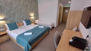 Villa Bellini Borszék