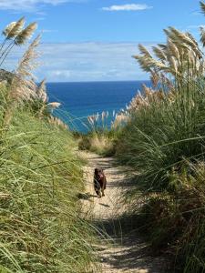APARTAMENTO con Jardín en Bádames