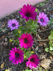 Casa LaTerrazza img8