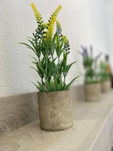 Casa LaTerrazza img18