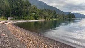 Cabaña los helechos