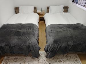 Louis House Shibuya Higashi